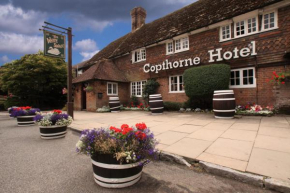  Copthorne Hotel London Gatwick  Кролей